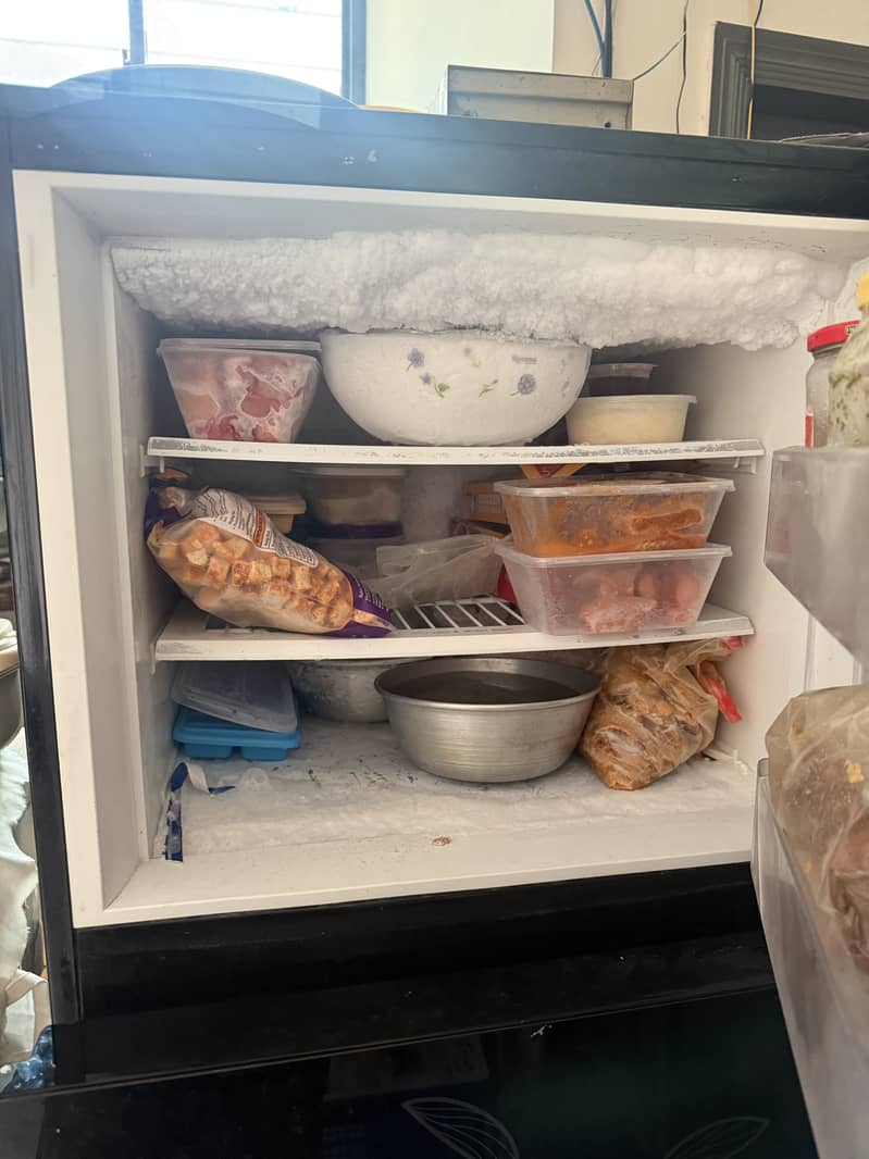 Pel fridge 3