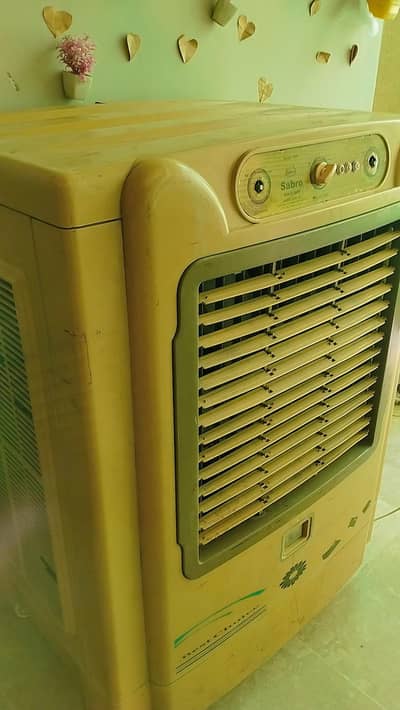 Room cooler