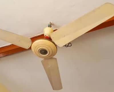 I want to send my old fan