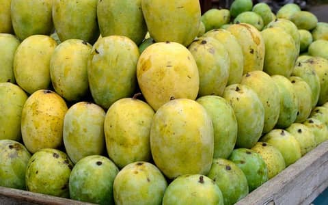 Best mangoes of sindh Langra and sindhri and all varieties available .