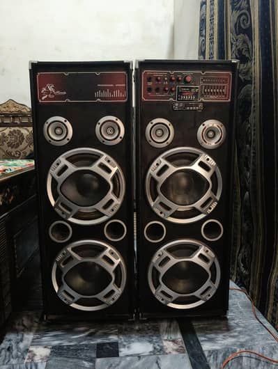 professional speaker