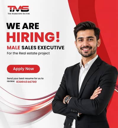 Male Sales Executive Required  Real Estate office