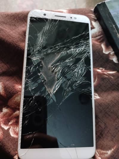 only screen damage