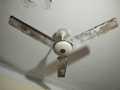 56 inches Fan