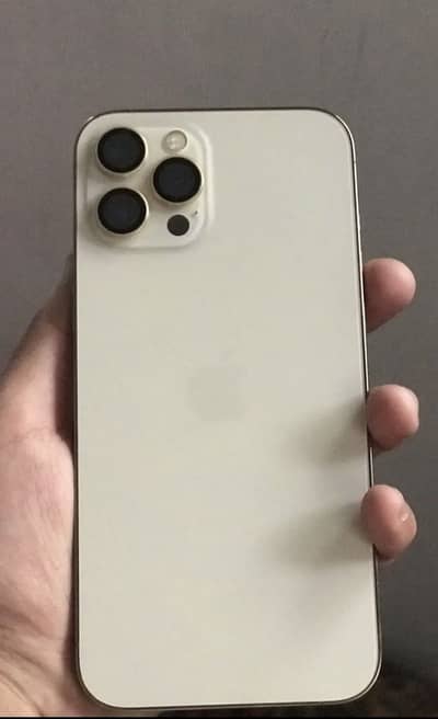 iPhone 12 pro max