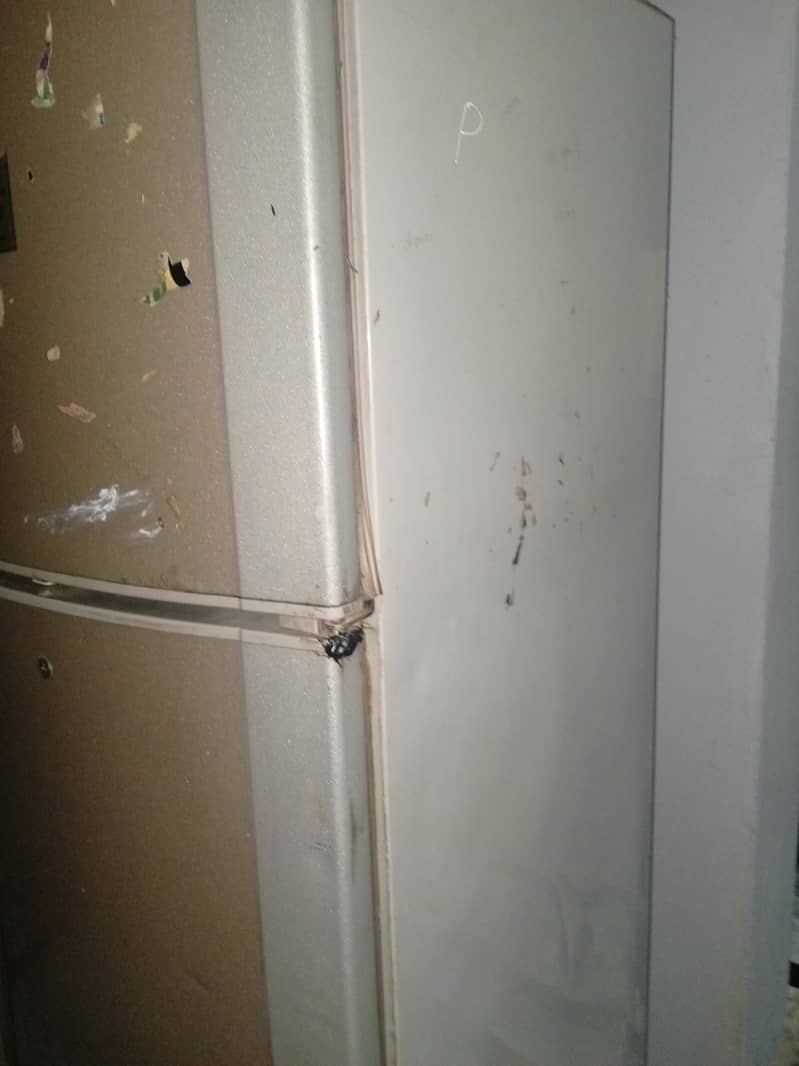 FRIDGE 1