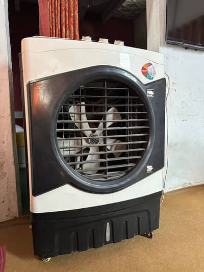 Coller for urgent sale