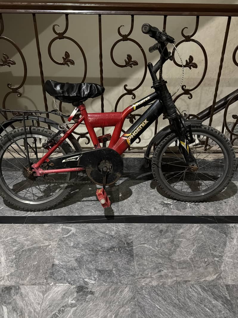 Phoenix Cycle 1