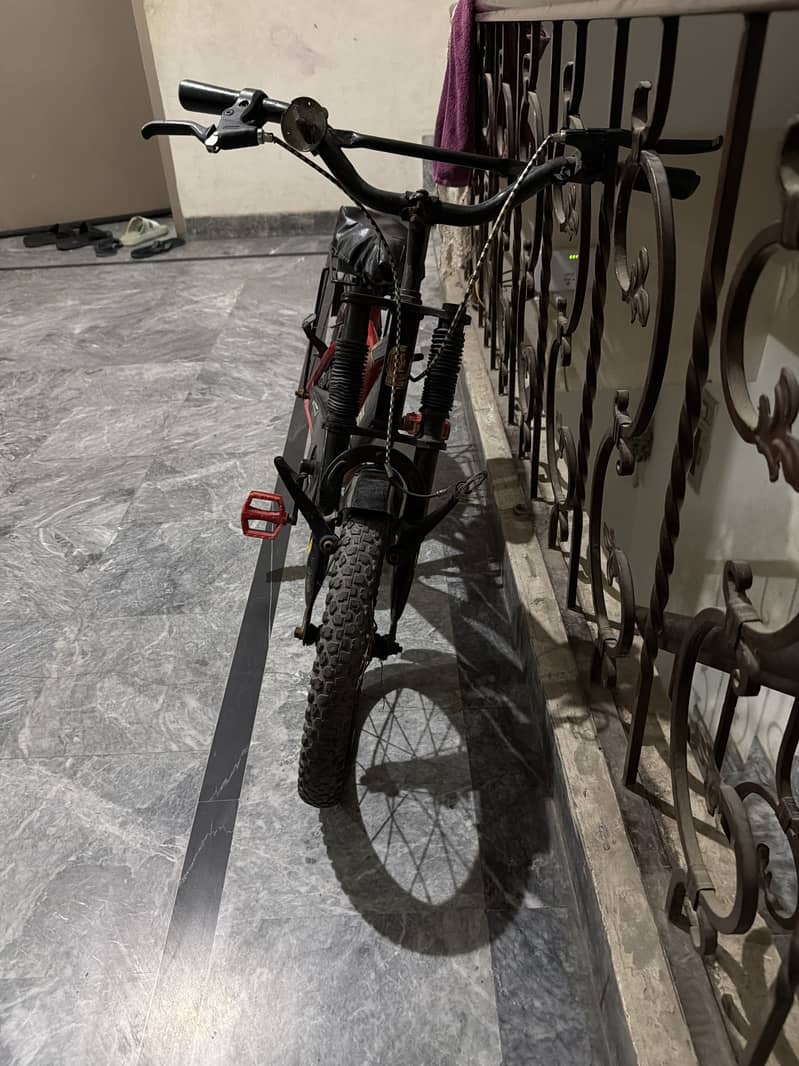 Phoenix Cycle 2