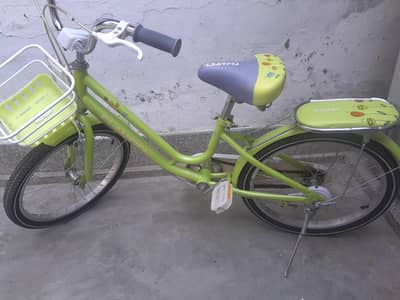 Girls 20" imported  Bicycle - Almost New