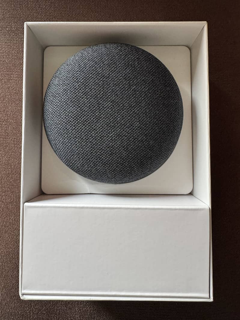 Google nest mini 1