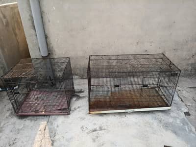 Cages