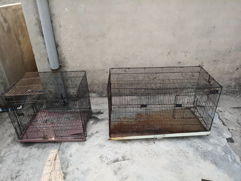Cages 0