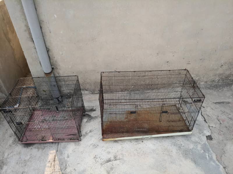 Cages 1