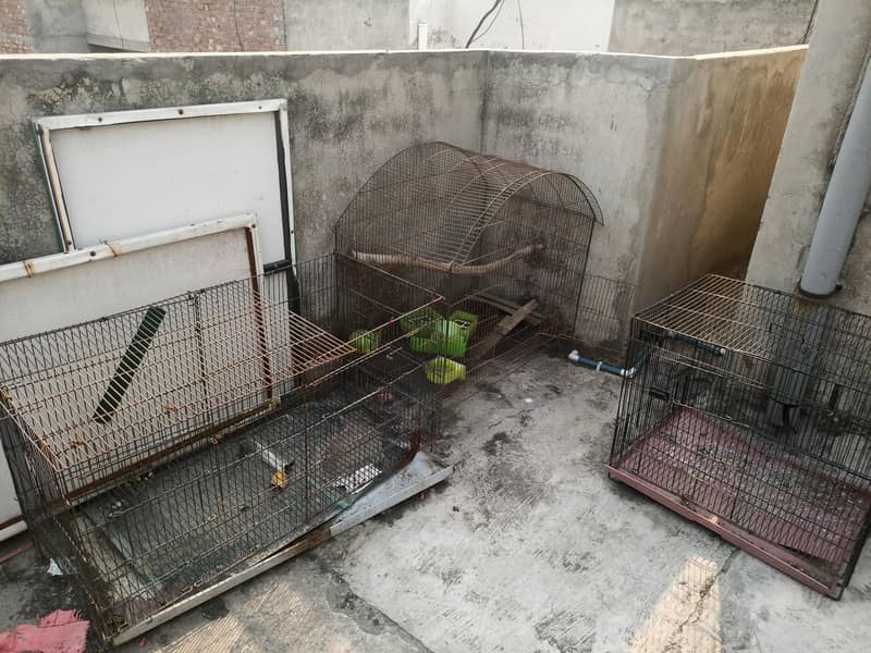 Cages 2
