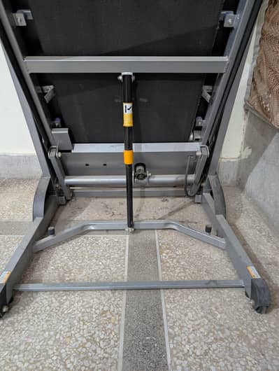 Gold star treadmill