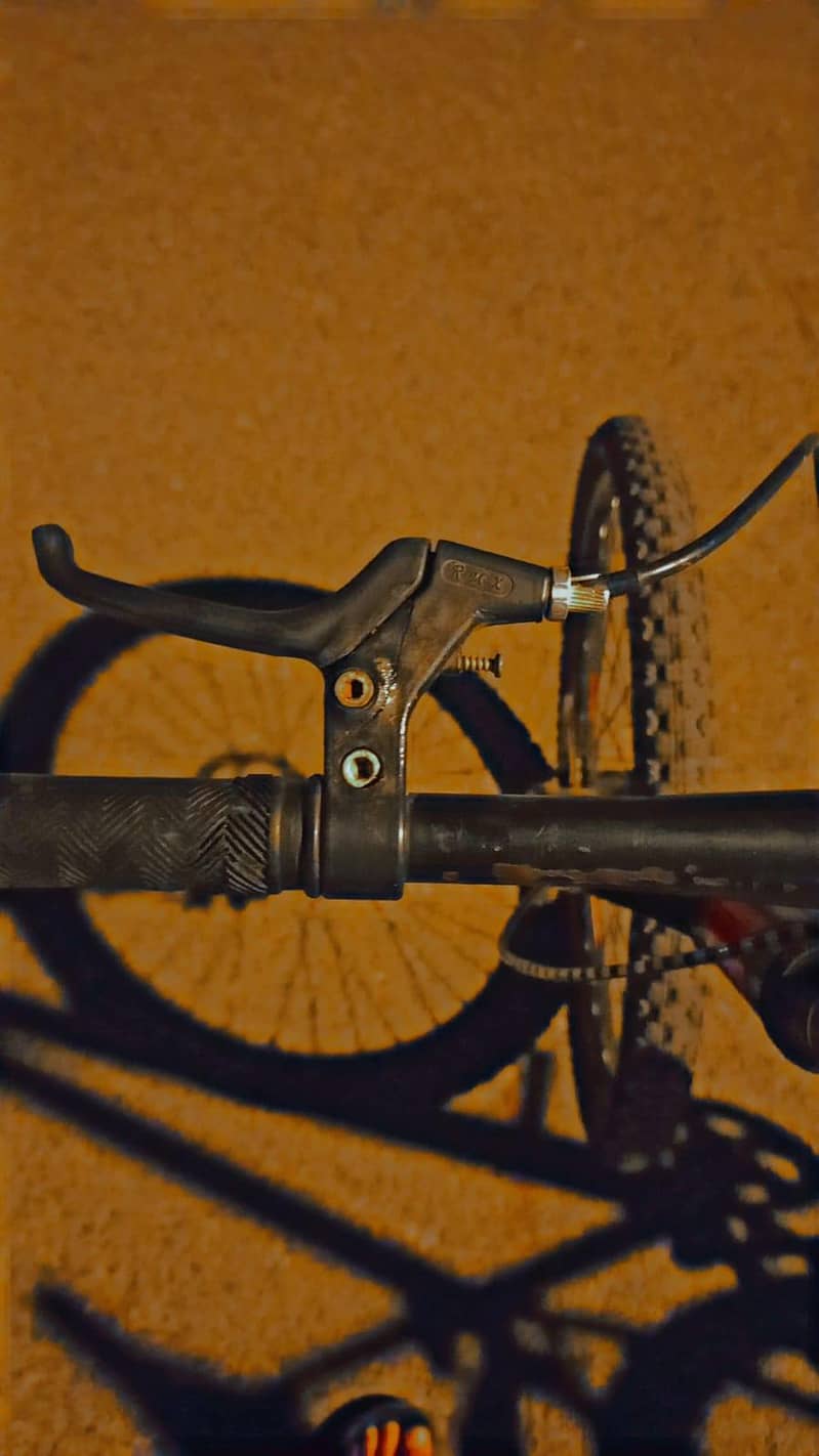 cycle 2