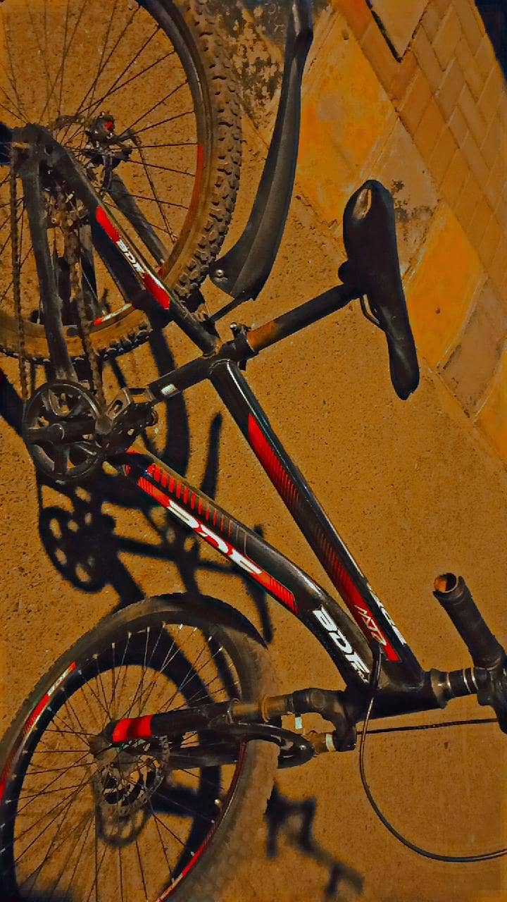cycle 3