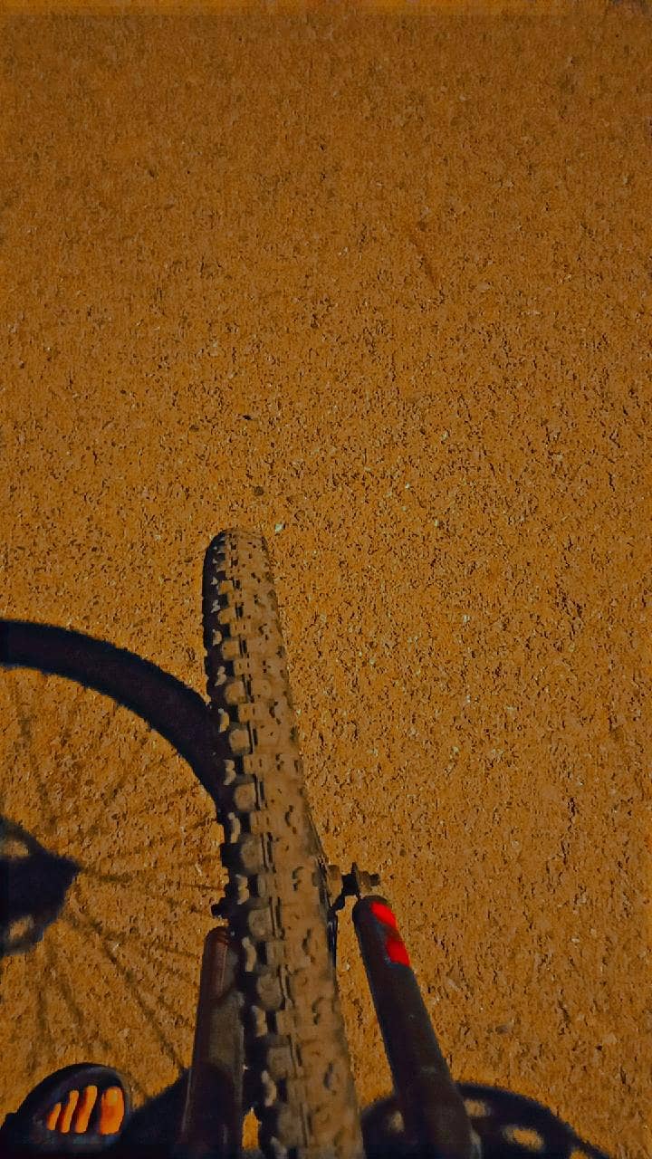cycle 4