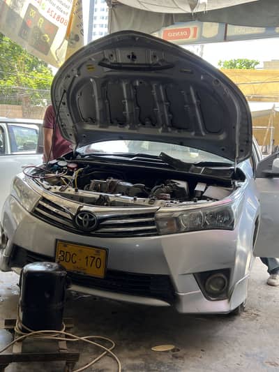 Corolla gli