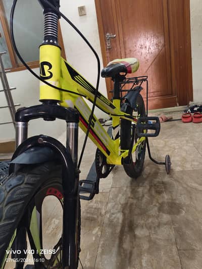 China cycle