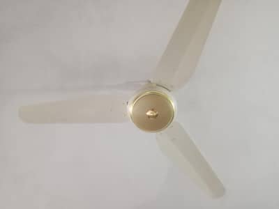 Almost New Taimoor Ceiling Fan For Sale