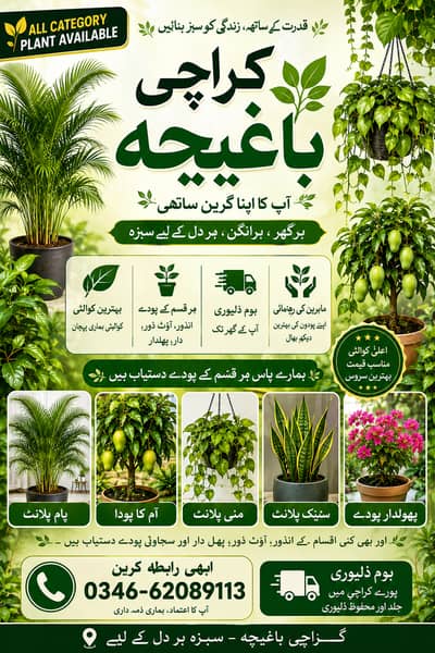All plant available home delivery