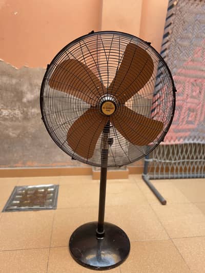 Pedestal Fan