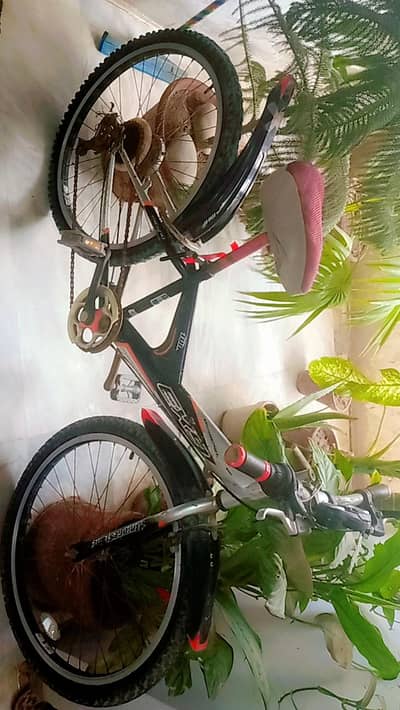 japan imported cycle for sale in reasonable price urgent sale