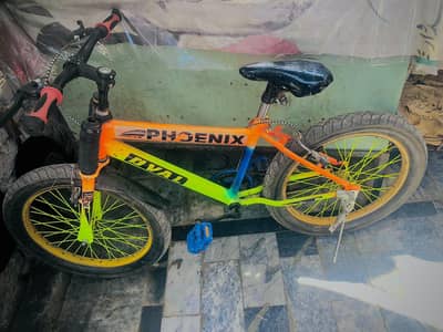 children sports cycles for sall