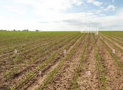 Agriculture Officer Required.