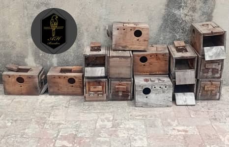Lovebird breading boxes kikar ke availble hain 16 peace