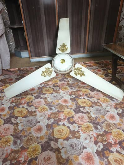Riyal Celling fan