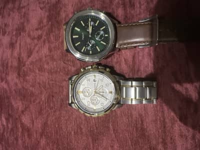 New fossils for sale 10/10