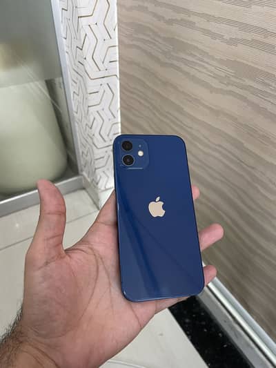 Iphone 12 : 256Gb