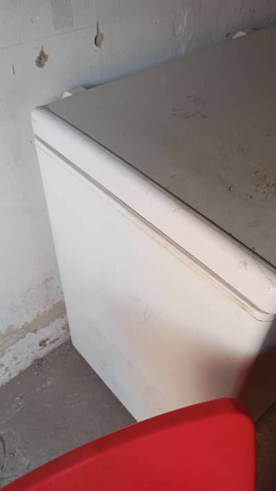 bilkul new freezer