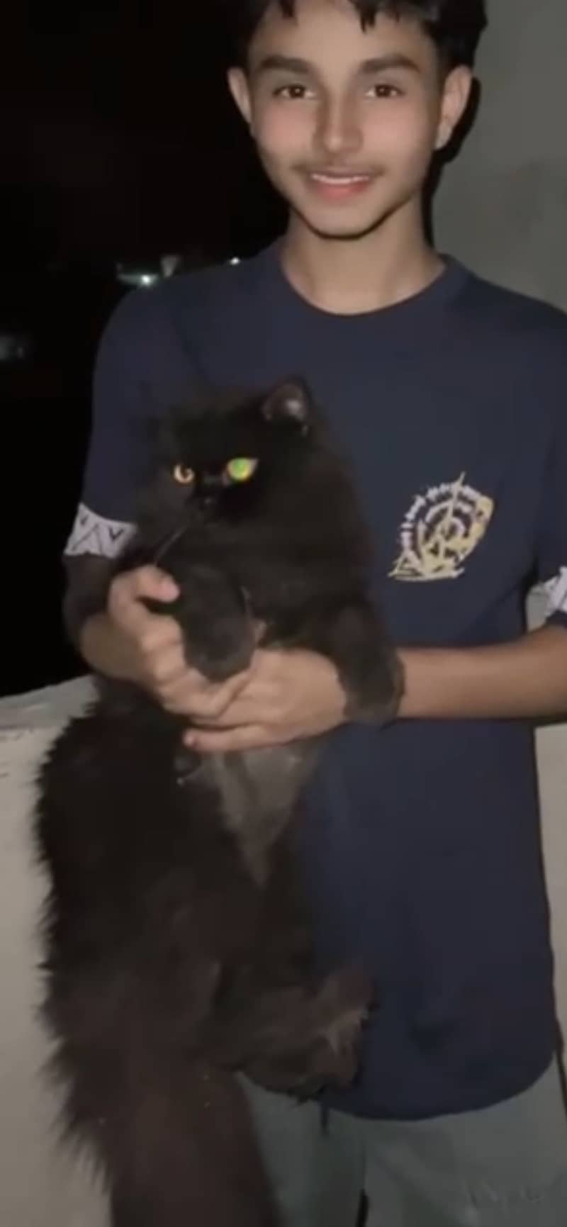 Black cat 1