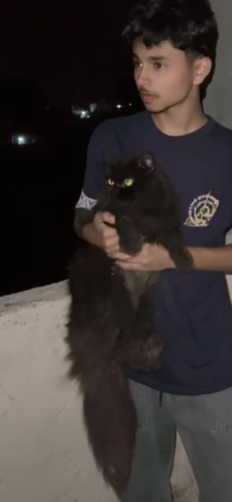 Black cat 2