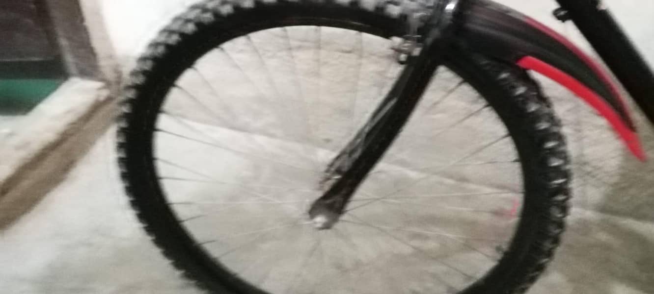 Cycle 4