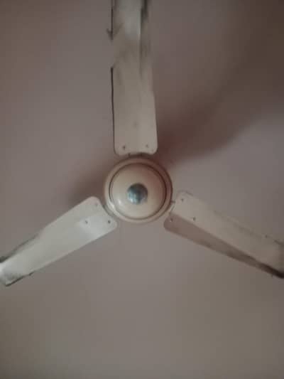 cieling fans for sale
