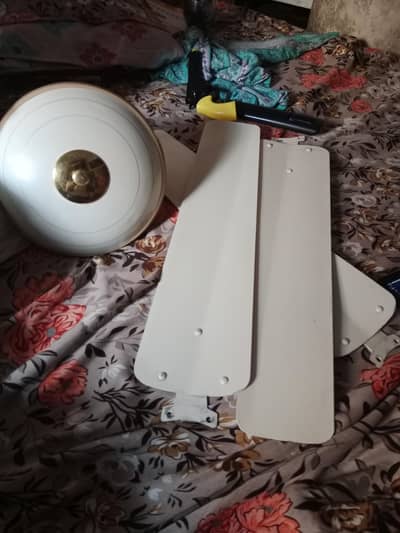 cieling fans for sale
