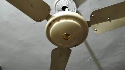 almeraj fans , wahid , fan  3 fan available 4 sale