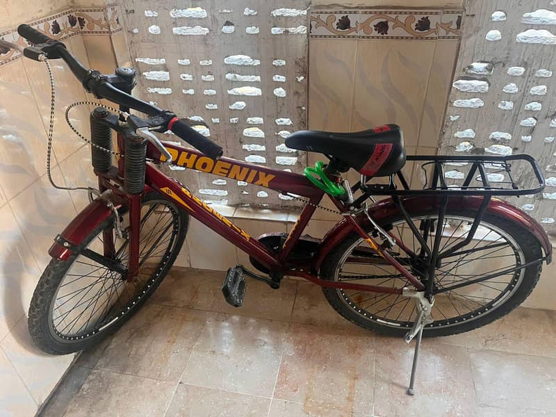 phoenix cycle 2