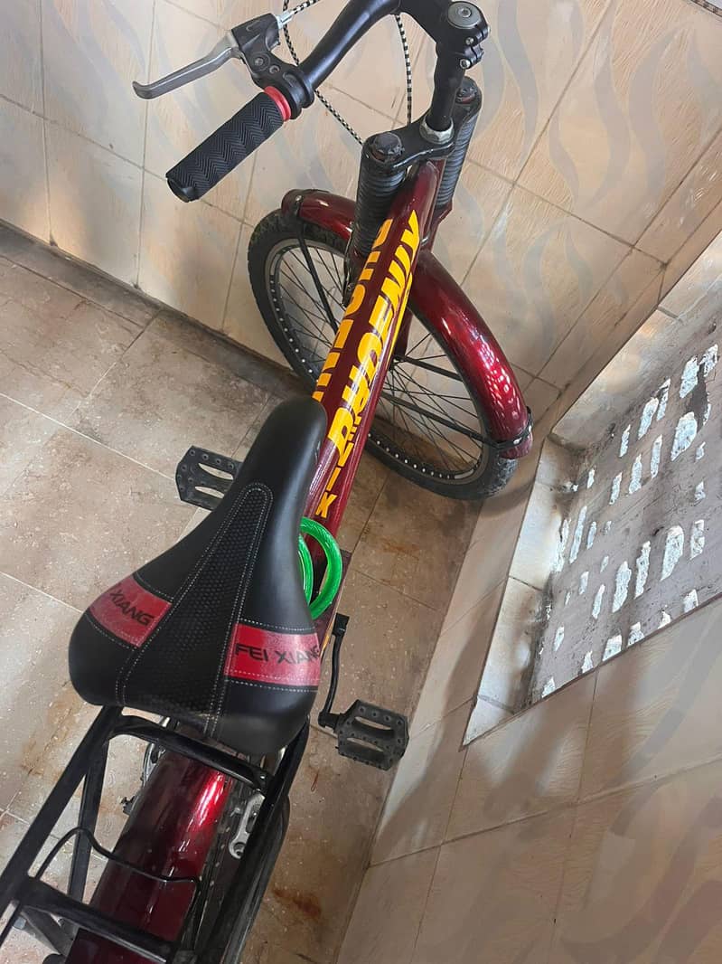 phoenix cycle 3
