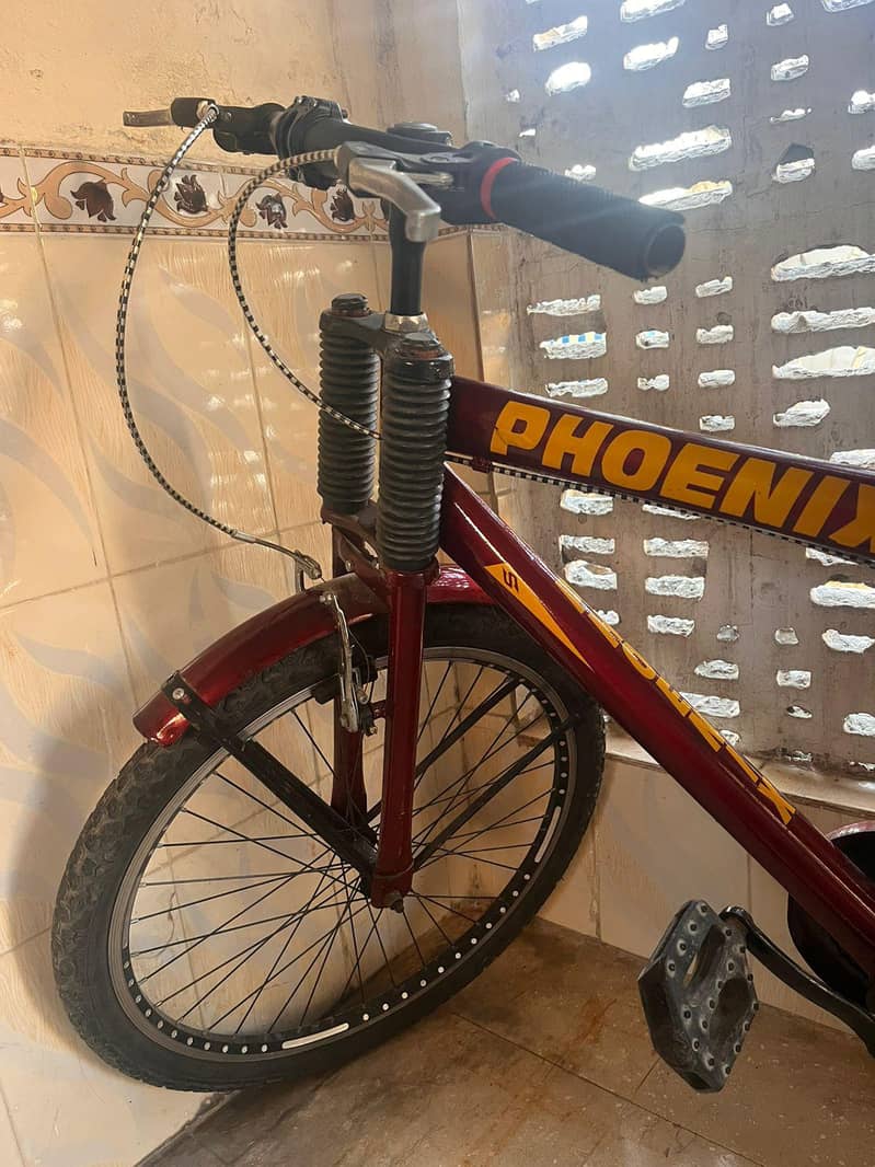 phoenix cycle 4
