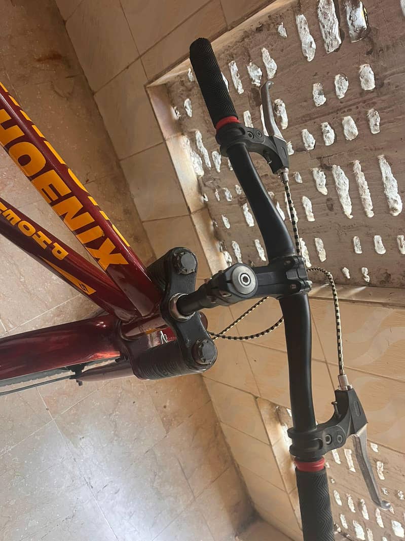 phoenix cycle 5