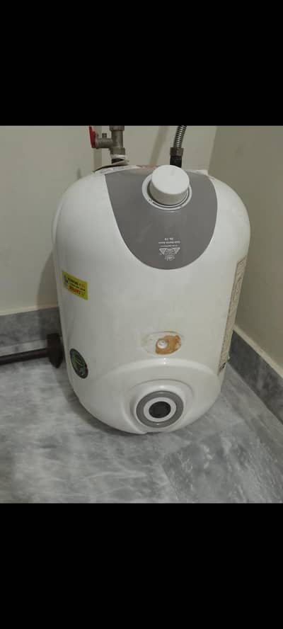 Electric geyser