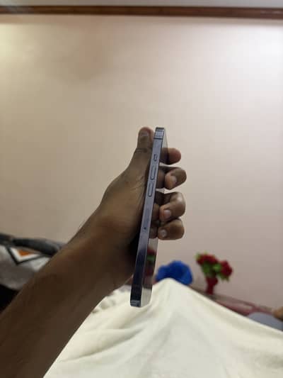 IPHONE 13 pro pta dual pta approved