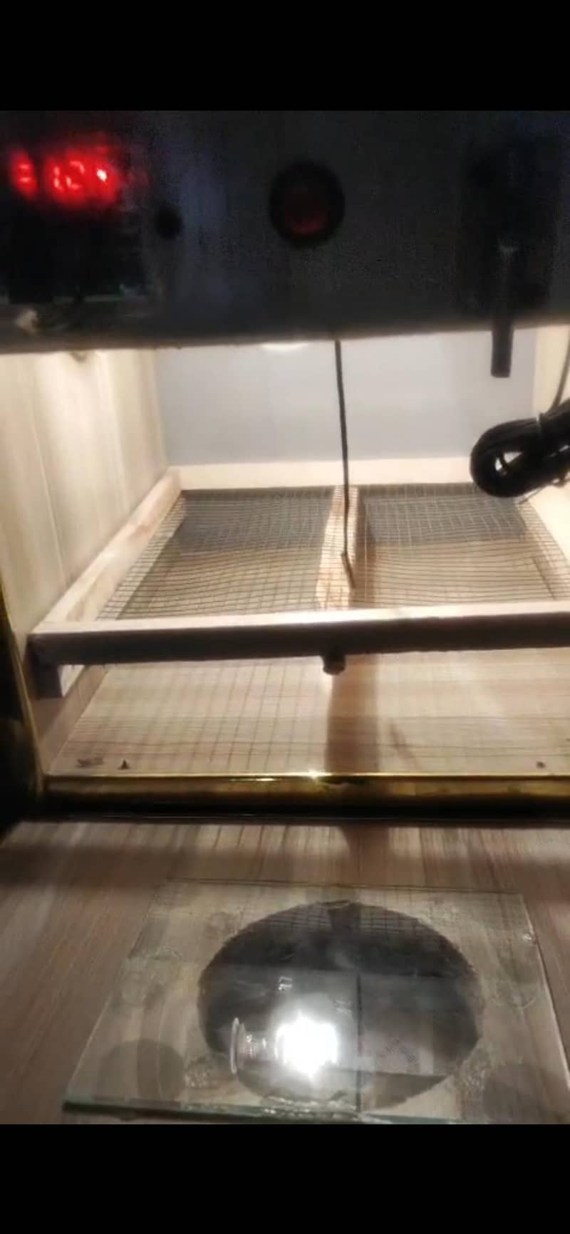 Incubator 1