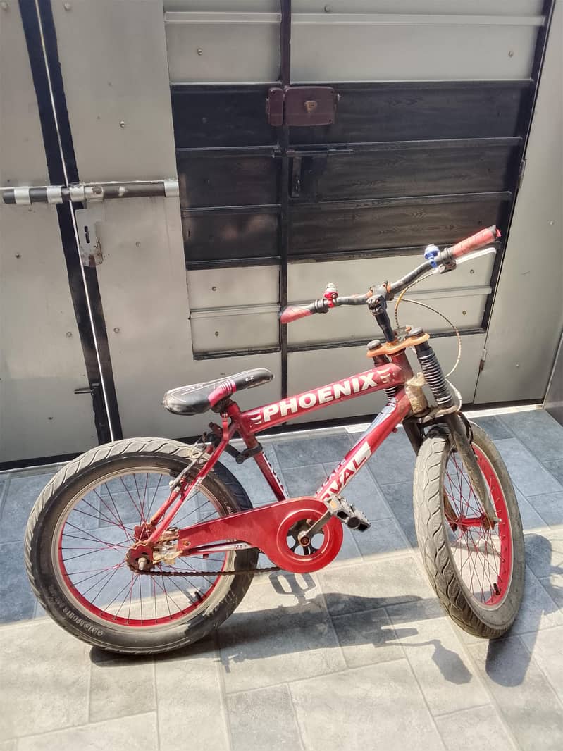 bicycle 2